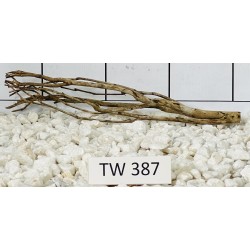 Talawawood 387