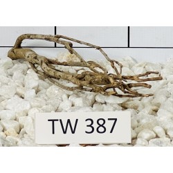 Talawawood 387