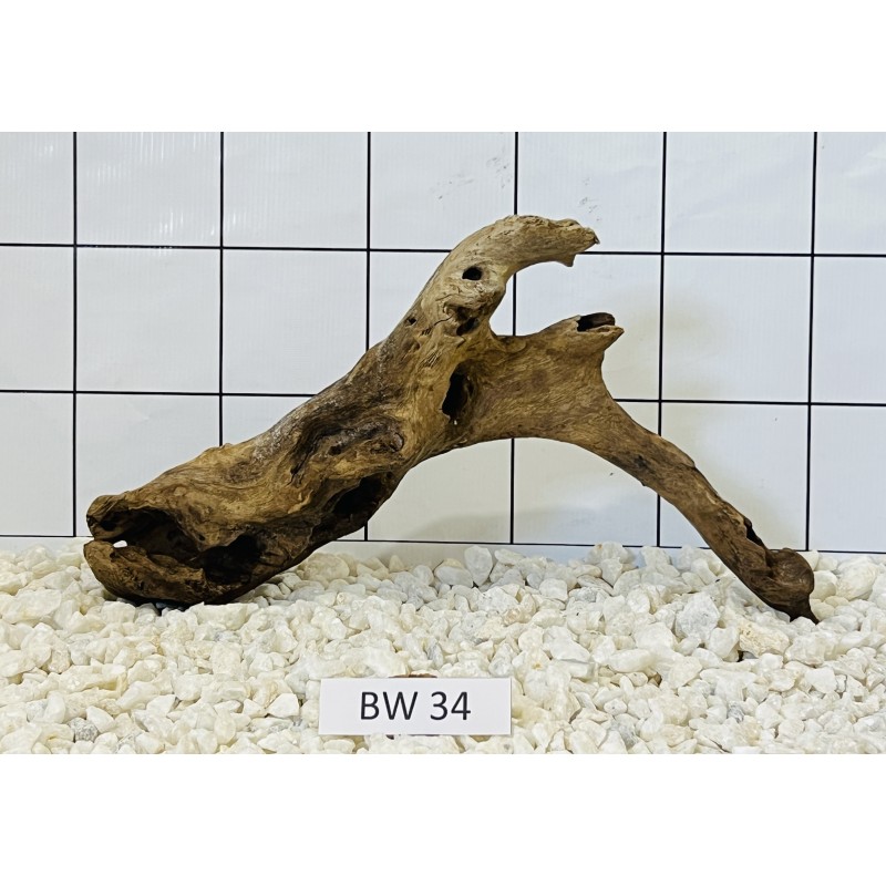 Bogwood 34