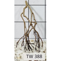 Talawawood 388