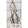 Talawawood 388