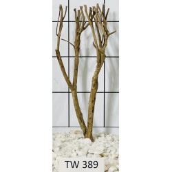 Talawawood 389