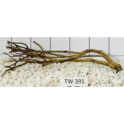 Talawawood 391