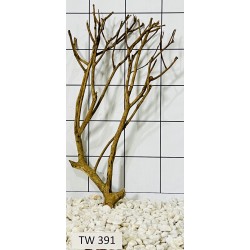 Talawawood 391