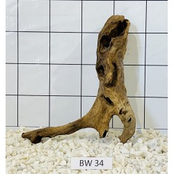 Bogwood 34
