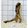 Bogwood 34