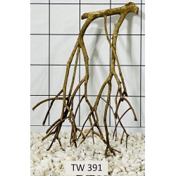 Talawawood 391