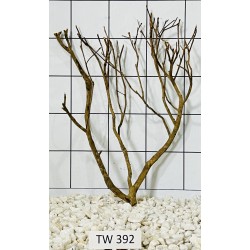 Talawawood 392