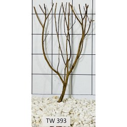 Talawawood 393