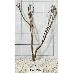 Talawawood 396