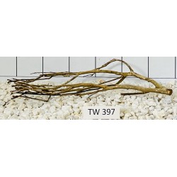 Talawawood 397