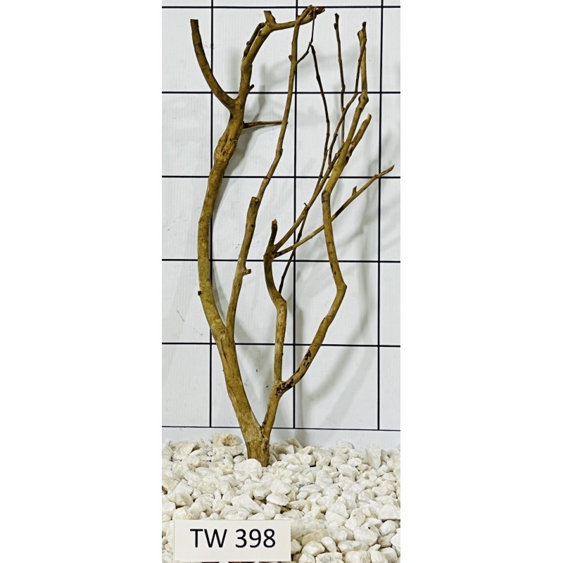 Talawawood 398