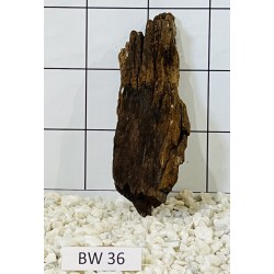 Bogwood 36