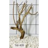 Talawawood 409