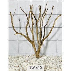 Talawawood 410