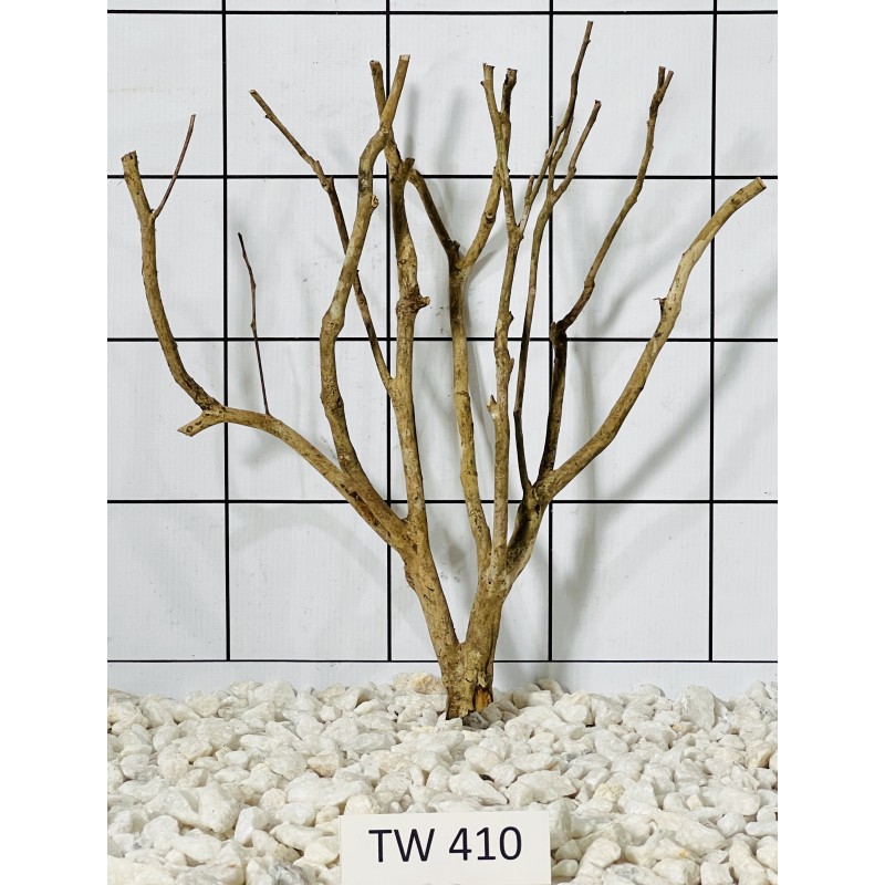 Talawawood 410