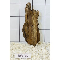 Bogwood 36