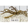Talawawood 411