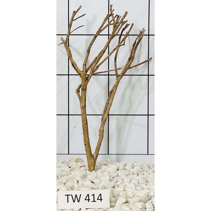 Talawawood 414