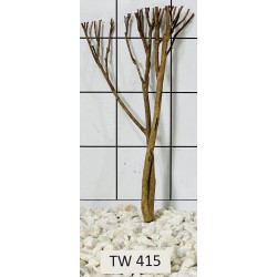 Talawawood 415