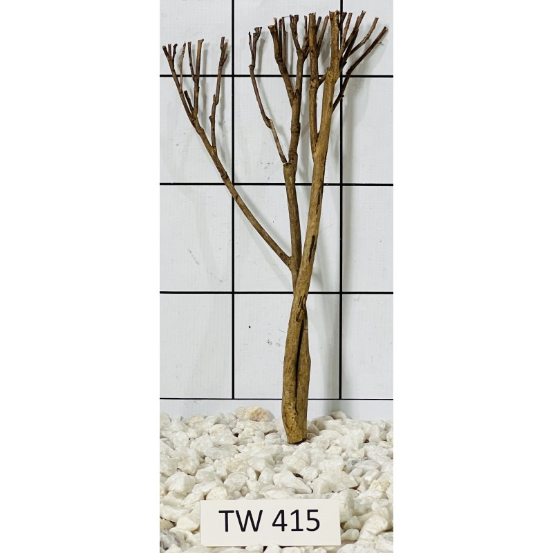 Talawawood 415