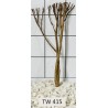 Talawawood 415