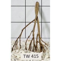 Talawawood 415
