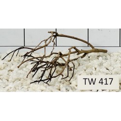 Talawawood 417