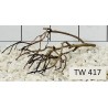 Talawawood 417