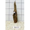 Bogwood 37