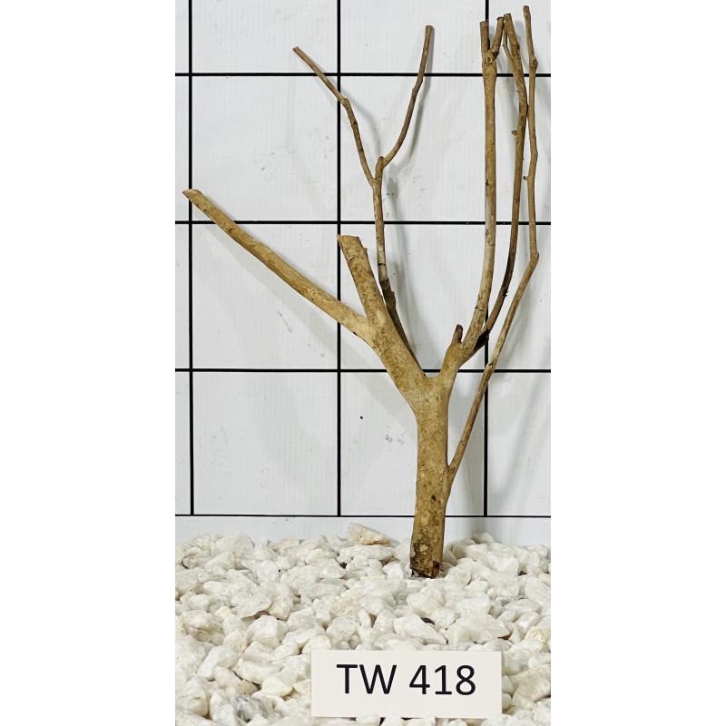 Talawawood 418