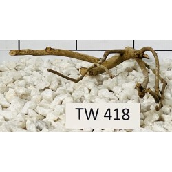Talawawood 418