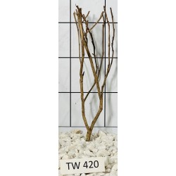 Talawawood 420