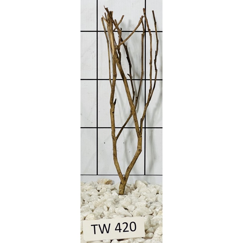 Talawawood 420