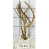 Talawawood 421