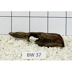 Bogwood 37