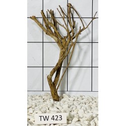 Talawawood 423