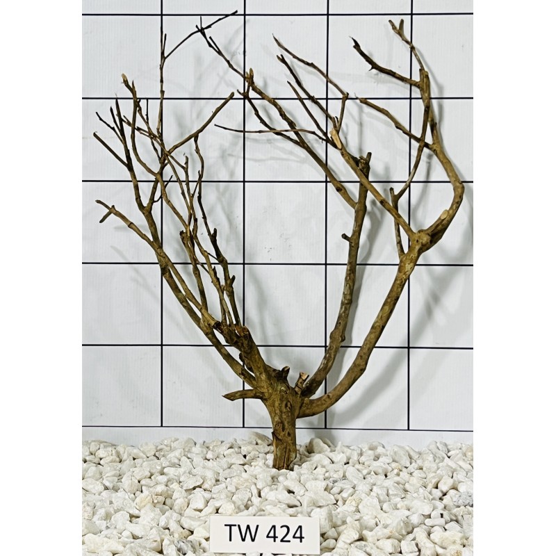 Talawawood 424