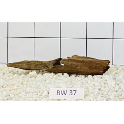 Bogwood 37