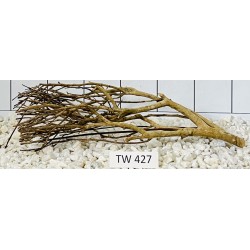 Talawawood 427