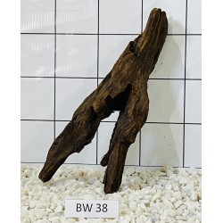 Bogwood 38