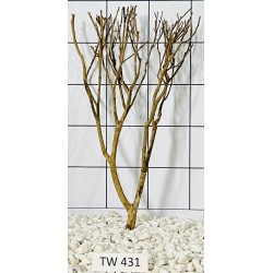 Talawawood 431