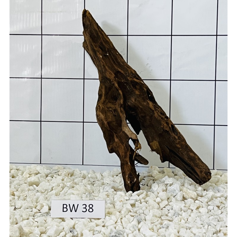 Bogwood 38
