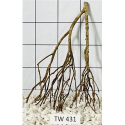 Talawawood 431