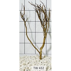 Talawawood 432