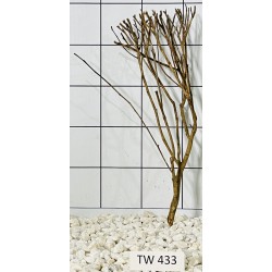 Talawawood 433