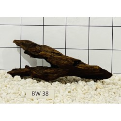 Bogwood 38