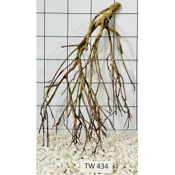 Talawawood 434