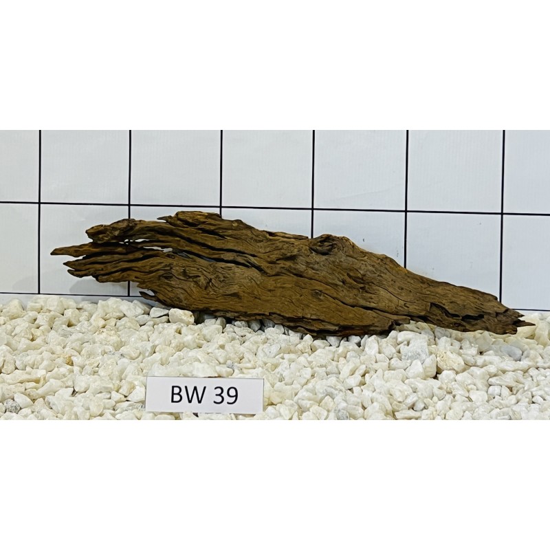Bogwood 39