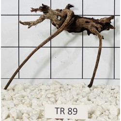 Spiderwood 89